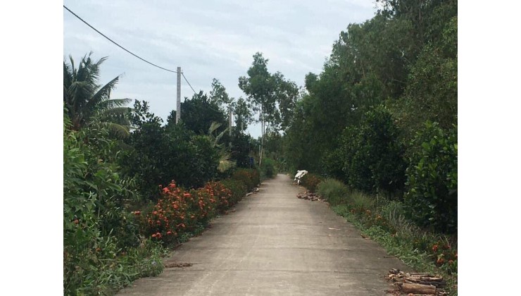 9,3công đất đường Sáu Ầu,Long Định,Châu Thành,Tiền Giang