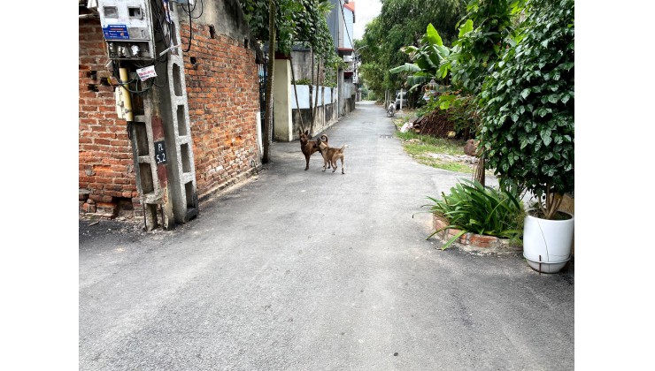 BÁN ĐẤT PHÚC LỘC - UY NỖ, DIỆN TÍCH VỪA PHẢI, NGÕ THÔNG, Ô TÔ VÀO NHÀ, GẦN SÔNG TRƯỜNG GIANG