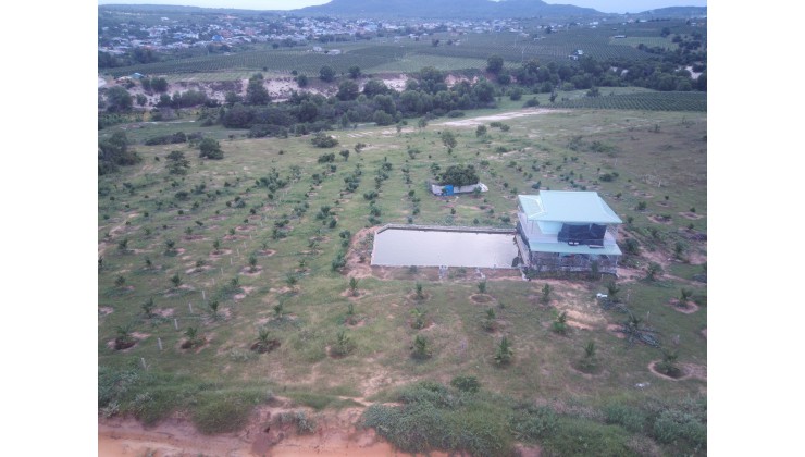 Bán đất nghỉ dưỡng tại Xã Thuận Quý, Hàm Thuận Nam gần Novaworld Bình Thuận