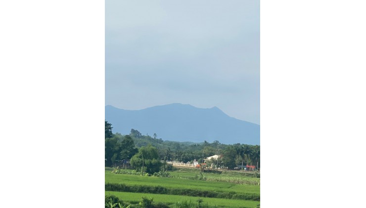 Bán Gấp Lô Đất 8400m có 1500m đất vườn+ thổ cư  Huyện Lạc Sơn, Tỉnh Hòa Bình