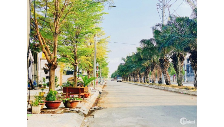 Bán gấp đất khu dân cư Tân Đô - Hương Sen giá cực tốt đầu tư
