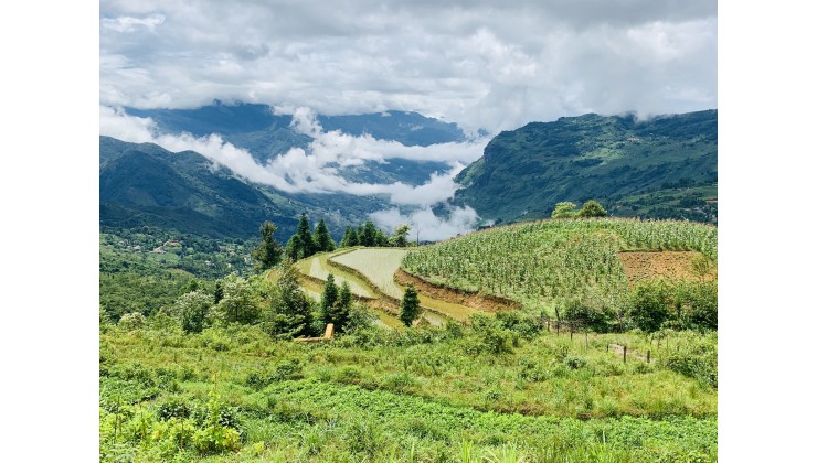 Đất nền Y Tý- đón sóng quy hoạch xây dựng phân khu, Giá đầu tư.