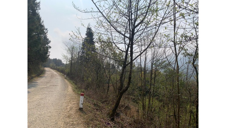 Siêu phẩm đất nền SaPa - Y Tý, view săn mây đón sóng sân bay SaPa.