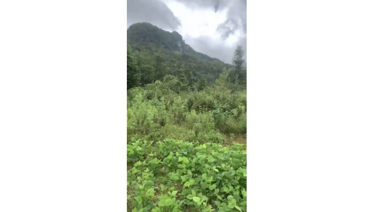 Siêu phẩm đất nền Y Tý - Sapa2 view biển mây, đón sóng quy hoạch chi tiết 1/500.