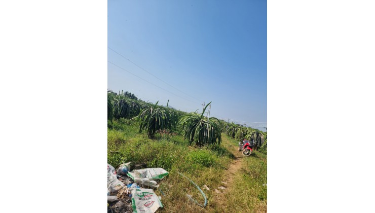 Chính chủ cần bán gấp lô đất vị trí đẹp tại xã Hàm Cần Huyện Hàm Thuận Nam, tỉnh Bình Thuận