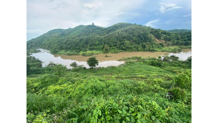 Cần Bán Gấp Lô Đất Đẹp Tại Thị Trấn Ea T'Ling, Cư Jút, Đăk Nông