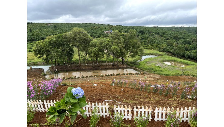 VILLA BẢO LỘC MANG TÊN SÀNH VILLATHIÊN ĐƯỜNG NGHỈ DƯỠNG THỨ 2 ĐÀ LẠT - SỞ HỮU NGAY CHỈ CHỈ 1 TỶ / CĂN.