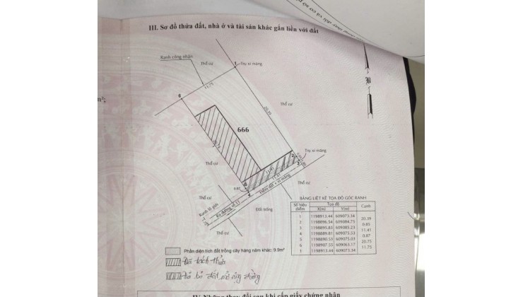 CHÍNH CHỦ CẦN BÁN ĐẤT ĐƯỜNG SỐ 2, PHƯỜNG TRƯỜNG THỌ, THÀNH PHỐ THỦ ĐỨC, 161 M2, THỔ CƯ, GIẢM 500 TR