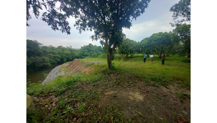 Cần bán lô đất đẹp tại Xã Cư Yên, Huyện Lương Sơn, Hòa Bình với giá cực kỳ hấp dẫn chỉ 28 tỷ đồng cho diện tích 10000 m²