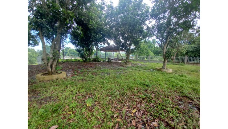 Cần bán lô đất đẹp tại Xã Cư Yên, Huyện Lương Sơn, Hòa Bình với giá cực kỳ hấp dẫn chỉ 28 tỷ đồng cho diện tích 10000 m²
