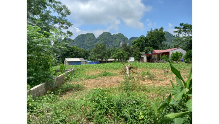 Cần bán đất tại Huyện Lương Sơn, Hòa Bình với giá cực kỳ hấp dẫn chỉ 1.6 tỷ đồng cho diện tích 1547 m²