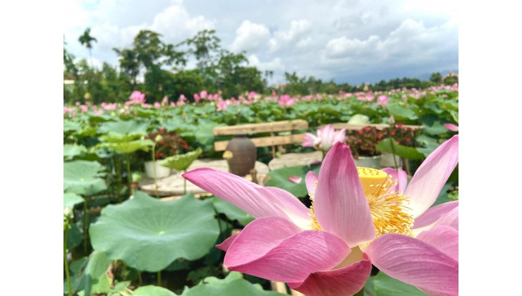 Chính chủ cần bán nhanh