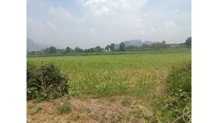 Chính chủ cần bán đất tại Thôn An Ninh, Xã Phú Nghĩa, Huyện Lạc Thuỷ, Tỉnh Hoà Bình