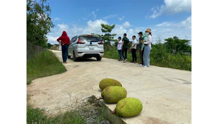 NHÀ VƯỜN SINH THÁI KẾT HỢP VƯỜN CÂY ĂN TRÁI HỒ TRỊ AN ĐỒNG NAI