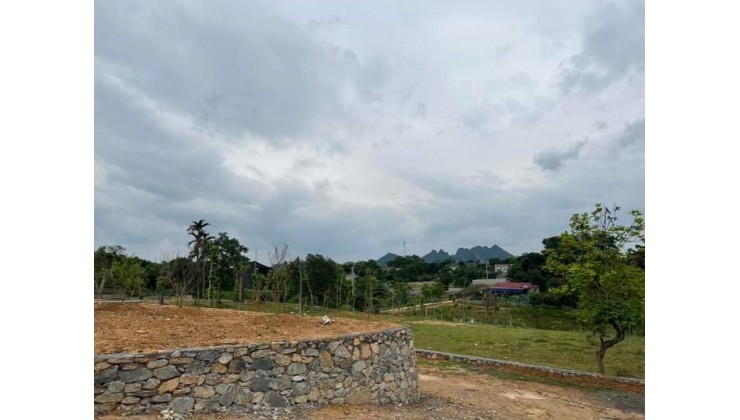 Cần bán 1250m đất mặt hồ gần hồ Đồng Tranh Lương Sơn giá bán 5.3 triệu/m