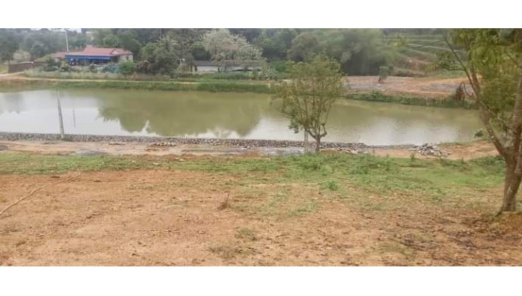 Cần bán 1250m đất mặt hồ gần hồ Đồng Tranh Lương Sơn giá bán 5.3 triệu/m