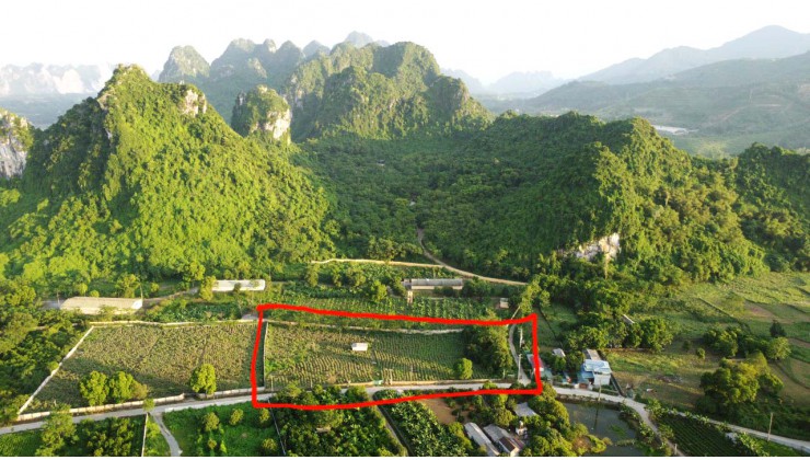 Cần bán 7000m2 đất tại Xã Liên Sơn - Huyện Lương Sơn - Hòa Bình đường liên xã gần sân golf skylake giá chỉ hơn 2 triệu/m