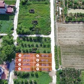 Bán rẻ trong tháng lô đất 60m2 tại TT Quang Minh, Mê Linh. LH 0362608492