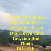 Chính chủ cần bán gấp lô đất 4ha vị trí đẹp tại xã Tân Đức Huyện Hàm Tân, tỉnh Bình Thuận