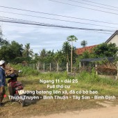 Chỉ 500 triệu Sở Hữu Ngay Lô Đất Siêu Đẹp - Thổ Cư Lớn tại Tây Sơn Bình Định