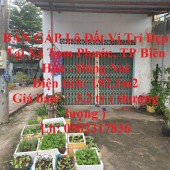 BÁN GẤP Lô Đất Vị Trí Đẹp Tại Xã Tam Phước, TP Biên Hoà - Đồng Nai