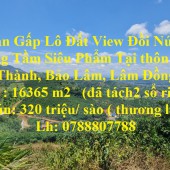 Cần Bán Gấp Lô Đất View Đồi Núi Tuyệt Đẹp Sứng Tầm Siêu Phẩm Tại Bảo Lâm-Lâm Đồng