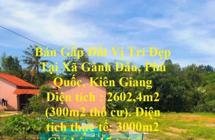 Bán Gấp Đất Vị Trí Đẹp Tại Xã Gành Dầu, Phú Quốc, Kiên Giang