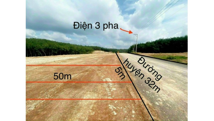 Bán đất nền Bình Phước 250m sổ sẵn thổ cư 100m, mặt tiền đường nhựa 32m, giá chỉ 868tr