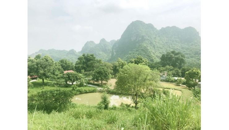 Chính chủ Cần  bán trang trại khu nghỉ dưỡng tại Xã Liên Sơn - Huyện Lương Sơn - Hòa Bình 1.5ha giá chỉ 1 triệu/m