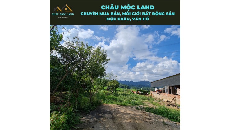 Cần Bán đất Bản Áng - Đông Sang - Mộc Châu View cực đẹp