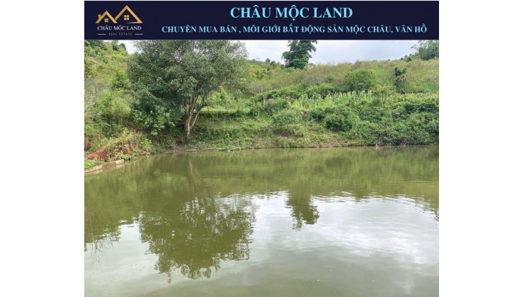 BÁN ĐẤT MỘC CHÂU SƠN LA, ĐƯỜNG VÀO CỬA KHẨU GIÁ CHỈ CÓ 300 NGHÌN/1 m2. DIỆN TÍCH 5Ha VIEW CỰC ĐỈNH