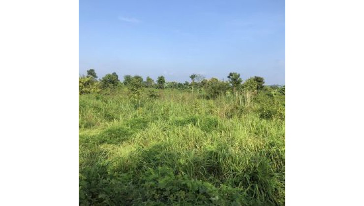 đất xào có sẵn vườn trái cây mặt tiền đá mi view suối chảy quanh năm