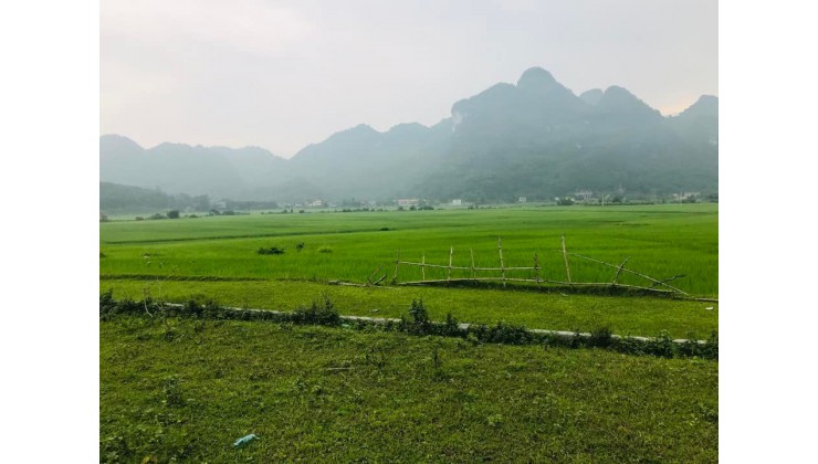 Chuyển nhượng 2900m đất tại đú sáng, kim bôi, hòa bình