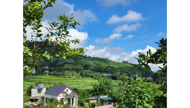 Sở hữu ngay mảnh đất nghỉ dưỡng sẵn nhà bám đường nhựa 3400m giá rẻ tại Cao Phong Hoà Bình