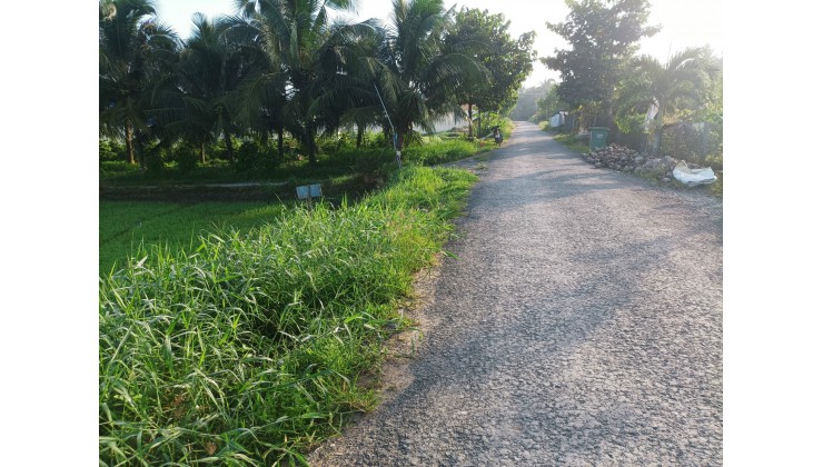 Cần bán lô đất 3000m2 gần quốc lộ 53, Tam Bình, Vĩnh Long
