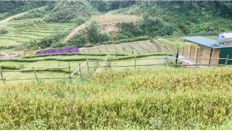 Mảnh đất nằm trên trục đường chính trung tâm Tả Phìn Sapa. Ngay cổng chào Tả Phìn và tu viện cổ