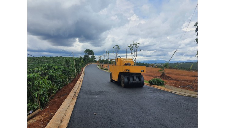 Đất nền palm garden view cực đẹp tại bảo lộc sổ hồng riêng ngân hàng hỗ trợ vay 60%