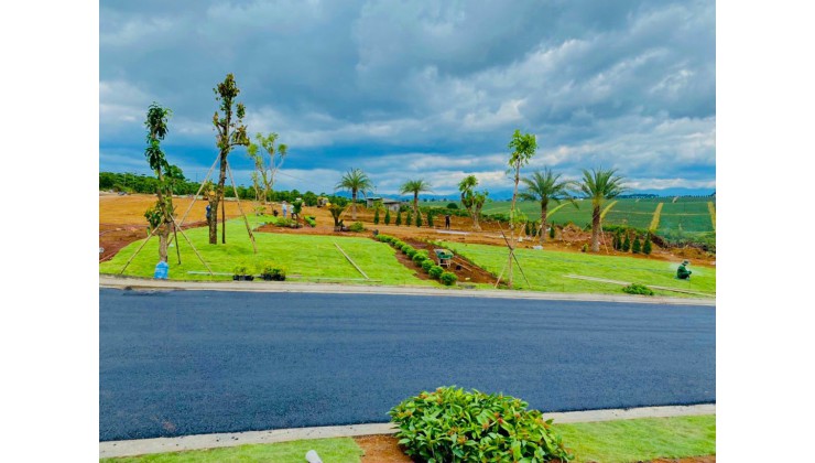Đất nền palm garden view cực đẹp tại bảo lộc sổ hồng riêng ngân hàng hỗ trợ vay 60%