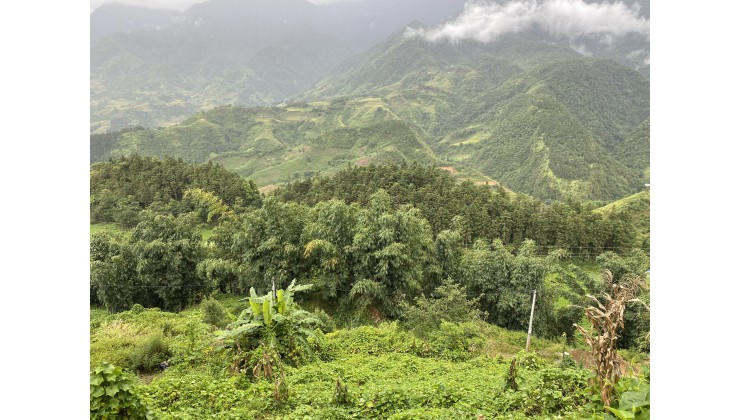 Đất nền Sapa,giá rẻ phù hợp làm homestay,lợi nhuận cao