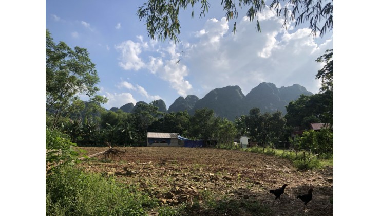 bán 1550m2 đất tại Xã Hợp Thanh - Huyện Lương Sơn - Hòa Bình quốc lộ HCM giá hơn 1 tỷ