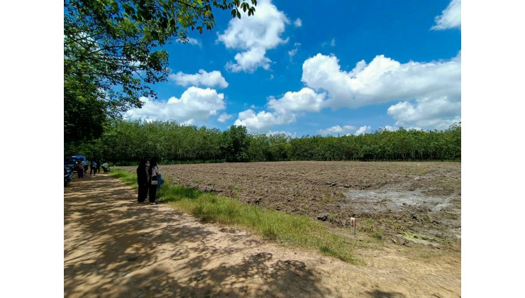 Đất nền Suối Dây, Tân Châu, Tây Ninh