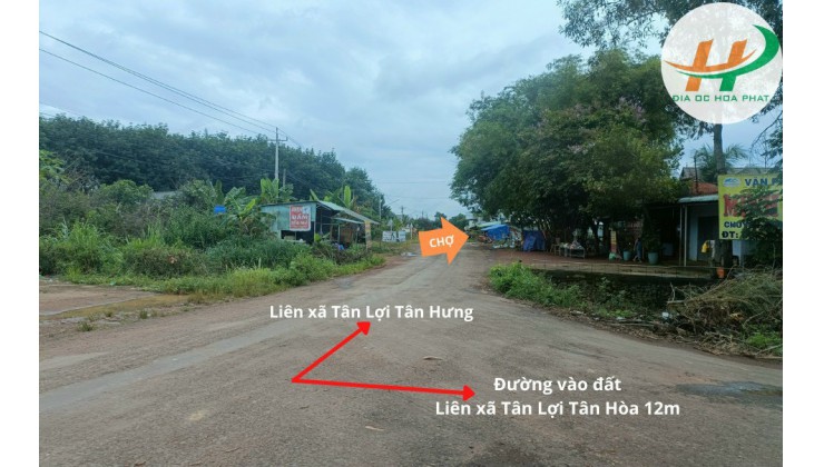 Đất Đồng Phú Bình Phước cặp sát KCN Becamex 6300Ha