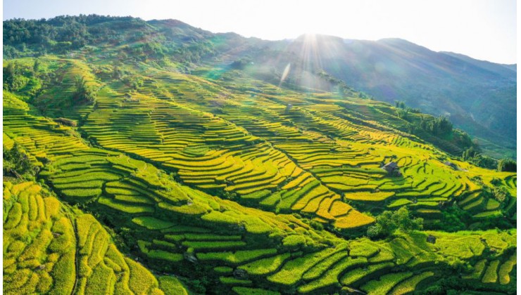 Đất Nền Y Tý (SAPA2) Đón Sóng Cao Tốc, View Săn Mây Giá Rẻ