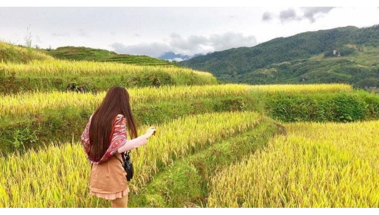 Đất Nền SAPA Đón Sóng Cao Tốc,  Bán Lô Đất 2000M View Săn Mây Bao Trọn Tả Phìn