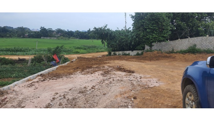 Cần bán đất tại Thanh Cao Lương Sơn siêu rẻ giá chỉ 700K/m2 diện tích 3968m2