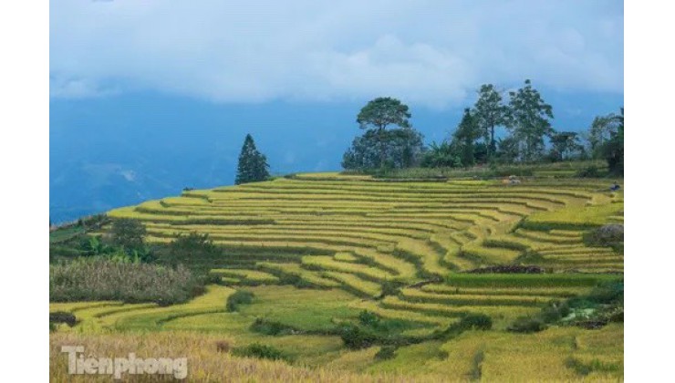 ĐẤT NỀN VEN SAPA. GIÁ RẺ THANH KHOẢN NHANH, PHÙ HỢP LÀM HOMESTAY