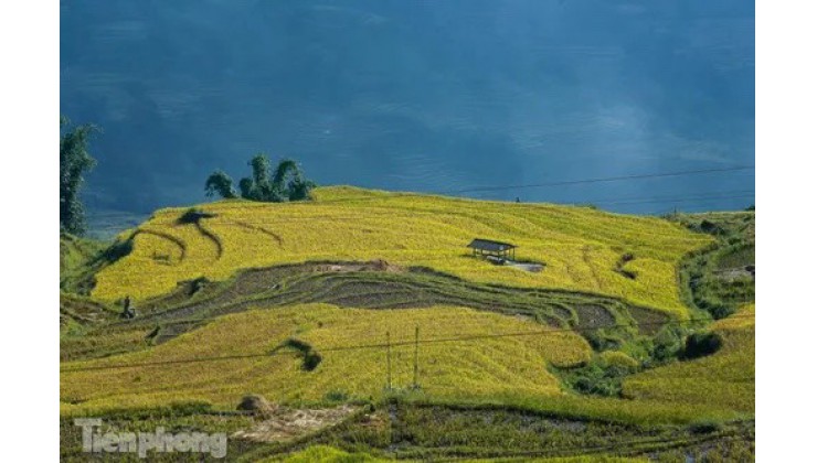 ĐẤT NỀN VEN SAPA. GIÁ RẺ THANH KHOẢN NHANH, PHÙ HỢP LÀM HOMESTAY