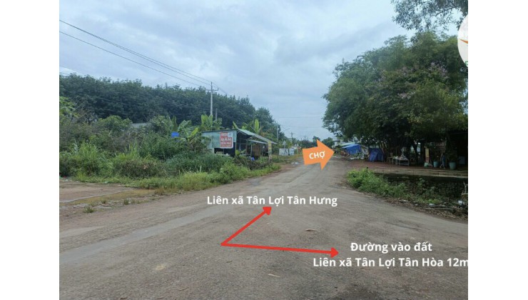 Đất Thành Phố Tân Lợi - Đồng Phú - Bình hức