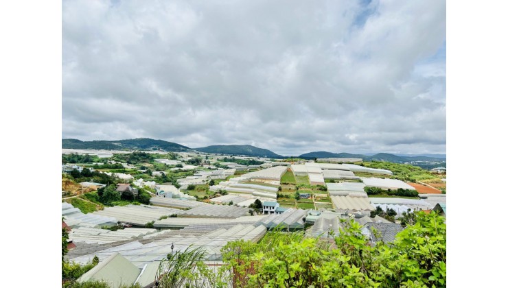 Bán đất KQH Bạch Đằng - Ngô Quyền phường 6 Đà Lạt. View đẹp cách chỉ trung tâm 3km