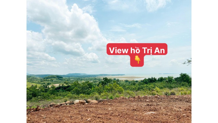 BÁN ĐẤT VƯƠN VIEW HỒ TRỊ AN, SHR, HUYỆN ĐỊNH QUÁN.